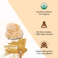 Rooted Active's Organic Lions Mane Mushroom Extract Powder